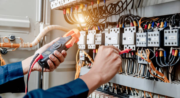 Best Electric Panel Repair  in Pine Manor, FL